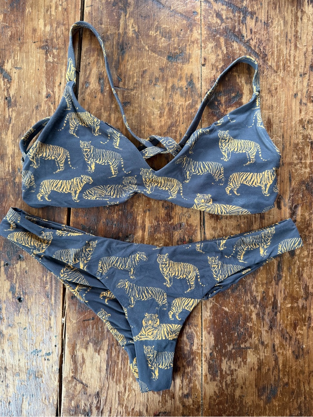 Boys & Arrows Frisky Tiger Bikini Medium/ Large 🐈